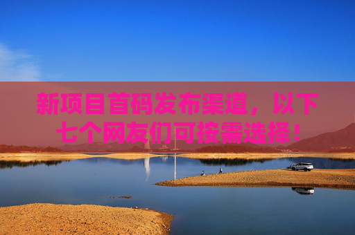 新项目首码发布渠道，以下七个网友们可按需选择！