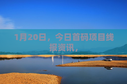 1月20日，今日首码项目线报资讯，