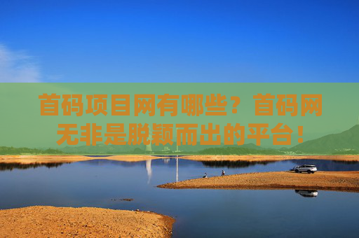 首码项目网有哪些？首码网无非是脱颖而出的平台！