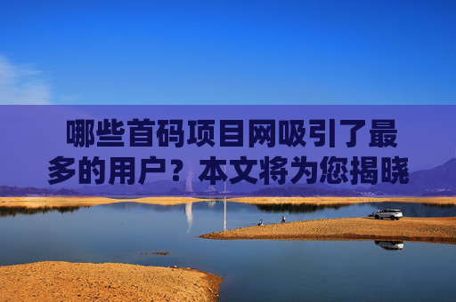  哪些首码项目网吸引了最多的用户？本文将为您揭晓！
