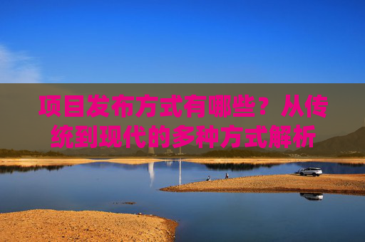项目发布方式有哪些？从传统到现代的多种方式解析