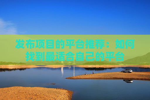 发布项目的平台推荐：如何找到最适合自己的平台