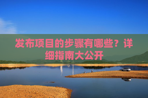发布项目的步骤有哪些？详细指南大公开