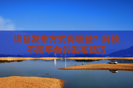 项目发布方式有哪些？解锁不同平台的发布技巧