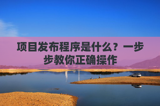 项目发布程序是什么？一步步教你正确操作