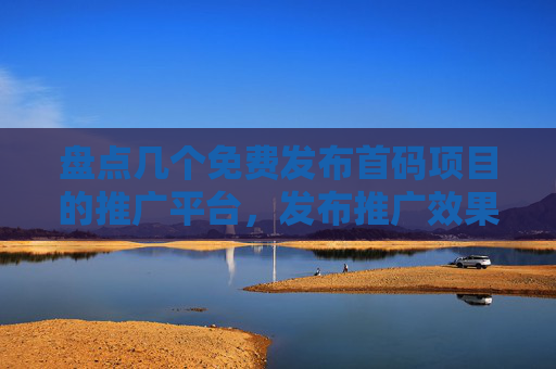 盘点几个免费发布首码项目的推广平台，发布推广效果极佳！