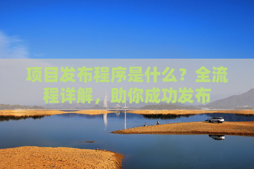 项目发布程序是什么？全流程详解，助你成功发布