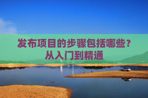 发布项目的步骤包括哪些？从入门到精通