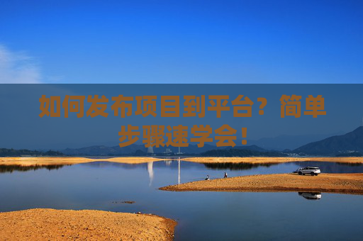 如何发布项目到平台？简单步骤速学会！