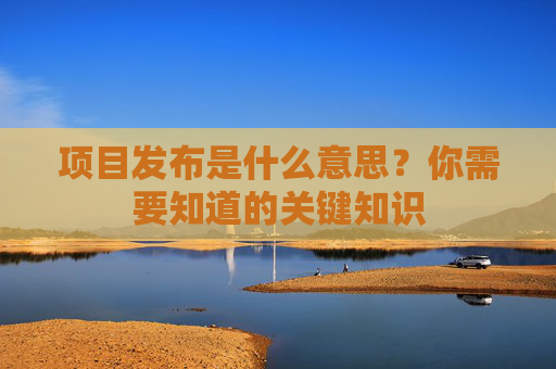 项目发布是什么意思？你需要知道的关键知识