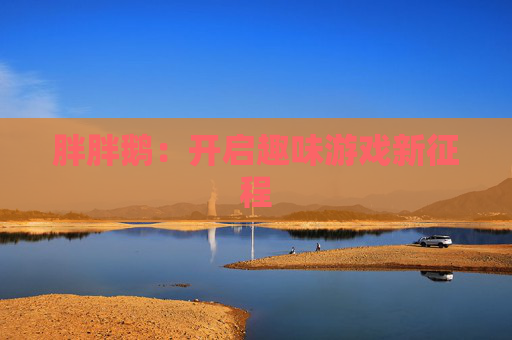 胖胖鹅：开启趣味游戏新征程