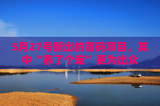 5月27号新出的首码项目，其中“养了个宠”更为出众