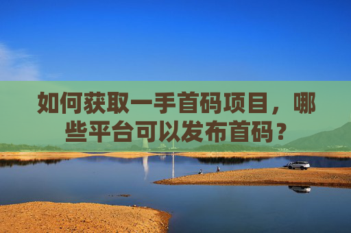 如何获取一手首码项目，哪些平台可以发布首码？