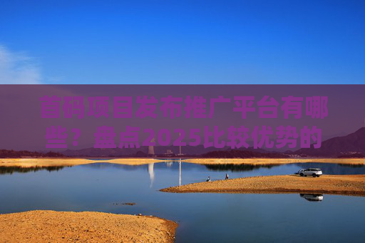 首码项目发布推广平台有哪些？盘点2025比较优势的几个首码网！