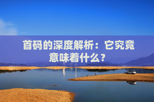  首码的深度解析：它究竟意味着什么？